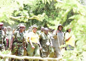 Museveni will lead a six day trek code-named Africa Kwetu starting Saturday, January 4, 2020.