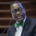 afdb president akinwumi adesina