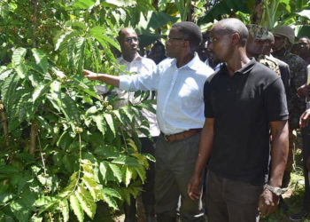 Katikkiro Mayiga touring a coffee garden in Bugerere as part of his Emmwanyi Terimba programme.