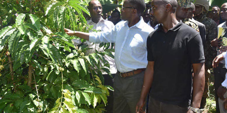 Katikkiro Mayiga touring a coffee garden in Bugerere as part of his Emmwanyi Terimba programme.