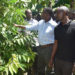 Katikkiro Mayiga touring a coffee garden in Bugerere as part of his Emmwanyi Terimba programme.