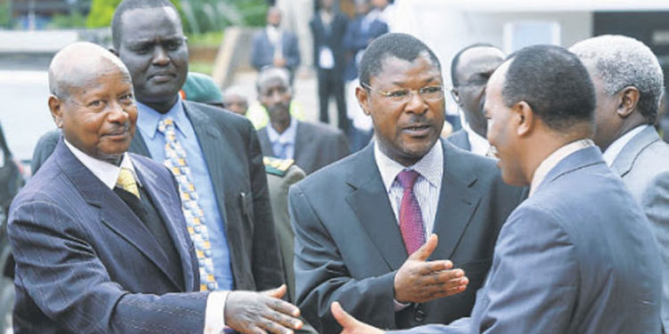 Museveni, other IGAD leaders discuss South Sudan, locusts invasion