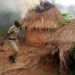 A police officer at the shrine of a traditional healer