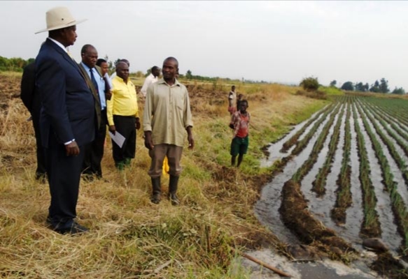 Mubuku Irrigation Scheme