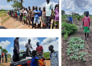 seeds distribution in the refugee settlement and ongoing plantation