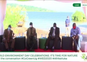 NFA ED Tom Okello, Deputy Speaker Jacob Oulanyah, NEMA ED Tom Okurut and Little Hands Go Green CEO Joseph Masembe during an online conversation on World Environment Day last Friday at Mulungu beach