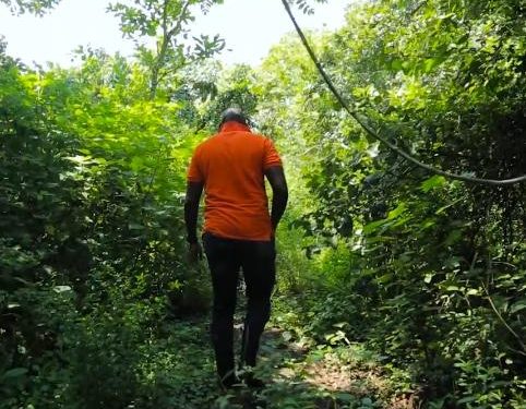 Mr Masembe in Bugoma forest