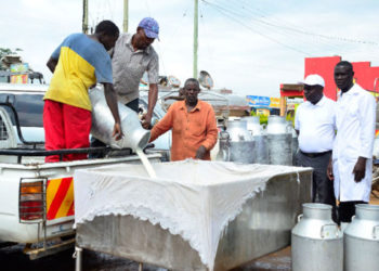 Some of the farmers that supply Fresh Dairy sieve milk to maintain the producer’s quality standards