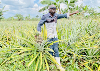 Jimmy Wamala at his farm