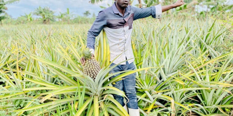 Jimmy Wamala at his farm