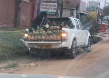 A vendor of pineapples in Najjeera.