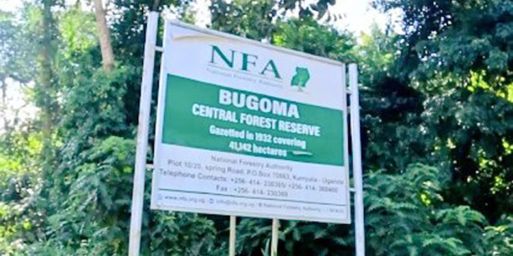 Bugoma Forest Reserve