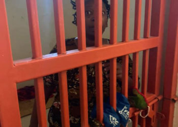 Stella Nyanzi in Police Cells