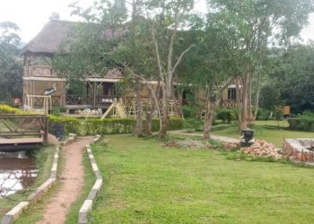 Eco tourism in Uganda
