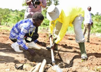 President Museveni at one of his model farms