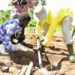 President Museveni at one of his model farms