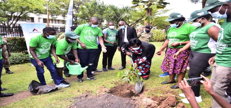 Speaker Rebecca Kadaga (C) planting a tree at Parliament during the launch of the initiative to plant 200 million trees by 2025