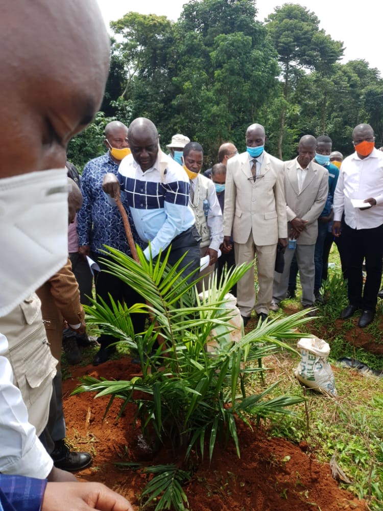 The Minister of Agriculture, Animal Industry and Fisheries, Hon Vincent Ssempijja during the launch of the project