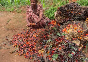 A farmer in Kalangala shows off her harvest