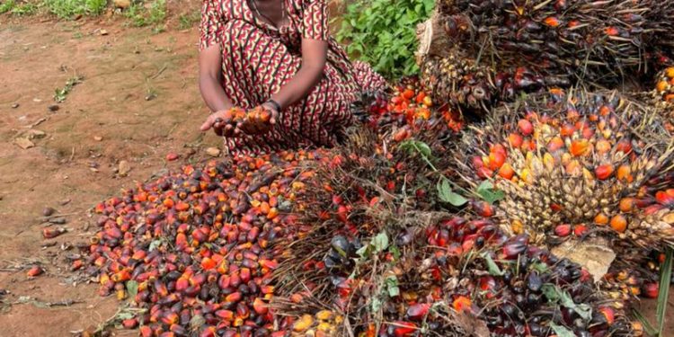 A farmer in Kalangala shows off her harvest