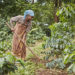 A coffee farmer in the Mt Elgon Region, Uganda
