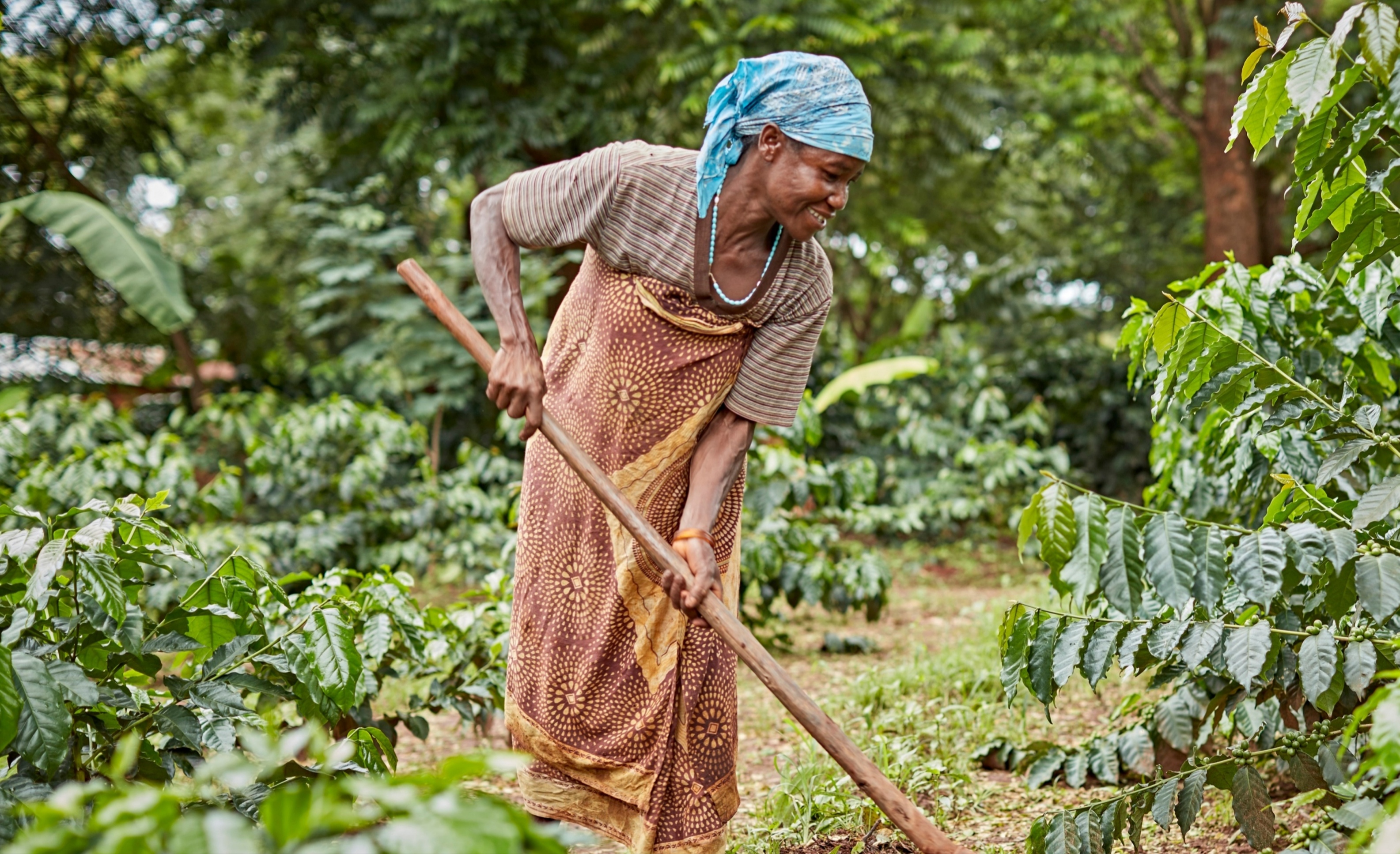 Coffee farmer