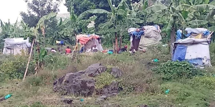 Batwa living in Kisoro District