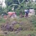 Batwa living in Kisoro District