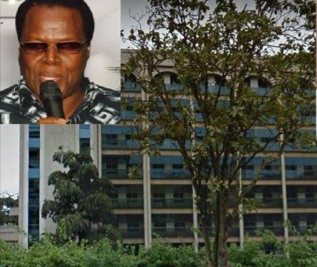 Inset: Businessman Peter Kamya, former owner of Simbamanyo House