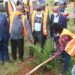 Connie Magomu Masaba (with a hoe), the Project Manager of the National Oil Palm Project in the Ministry of Agriculture planting an oil palm tree in Buvuma recently.