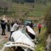 Kisoro Road accident