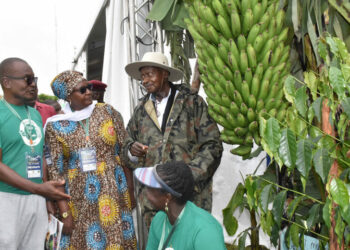 President Museveni visiting one of the NAADs beneficiaries a few years ago