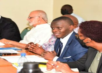 Members of the Landlord and Developers Association interacting with the Committee on Physical Infrastructure at Parliament