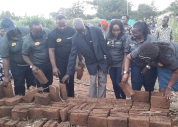 Uganda Airlines staff lay bricks to be used for Dhabangi's house construction