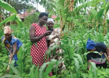 Farmers- Courtesy photo