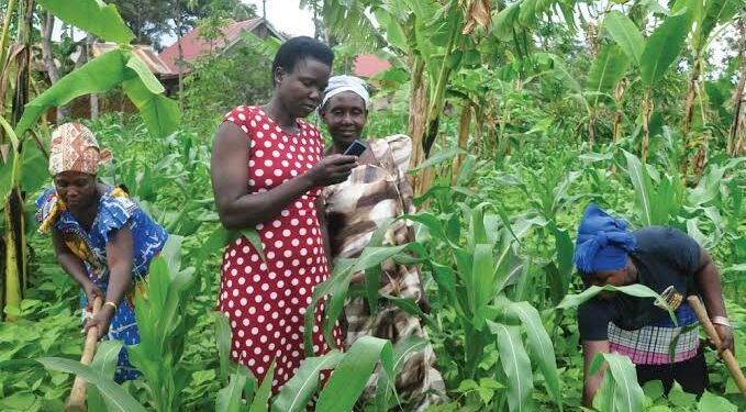 Farmers- Courtesy photo