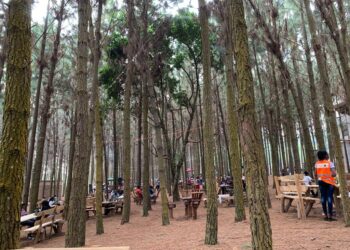 The Forest Bar at Nyungu ya Maawe