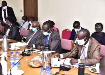 Hospital directors appearing before the Committee on Health