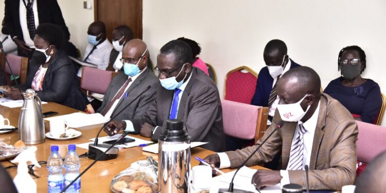 Hospital directors appearing before the Committee on Health