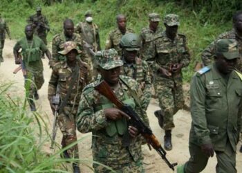 UPDF and FARDC soldiers in DRC