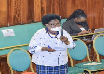 MP Cecilia Ogwal makes her point on the floor of Parliament