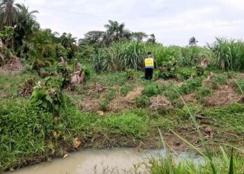 Wetland encroachment