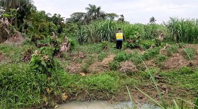 Wetland encroachment