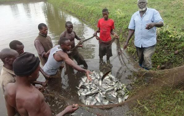 Fishing in Bukakata