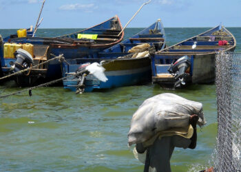 Kasenyi landing Site