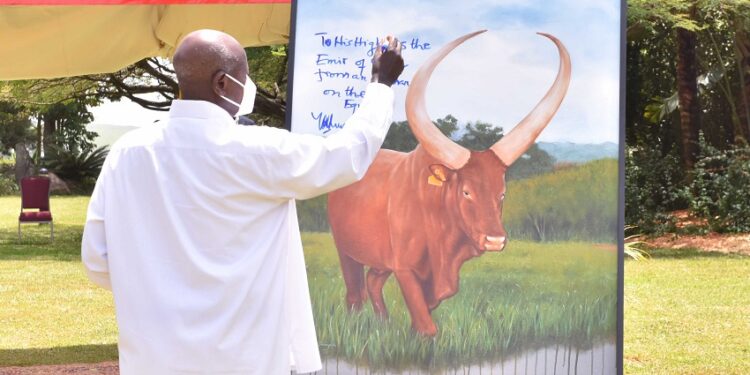 President Yoweri Museveni writing a message to the Emir of Quatar on a painting of an Ankole Cattle with, this was after with NARO officials lead by the President’s Special Envoy Amama Mbabazi a meeting on how to Fatten the local Cattle so as to earn financially on the international market, the meeting took place at State House Entebbe on 15th March 2022. Photo by PPU/Tony Rujuta.