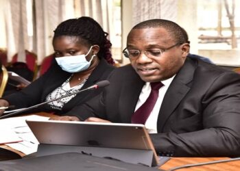 The Deputy Solicitor General appearing before the committee