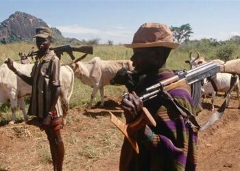 Karimojongs still have guns despite numerous efforts by the UPDF to disarm them