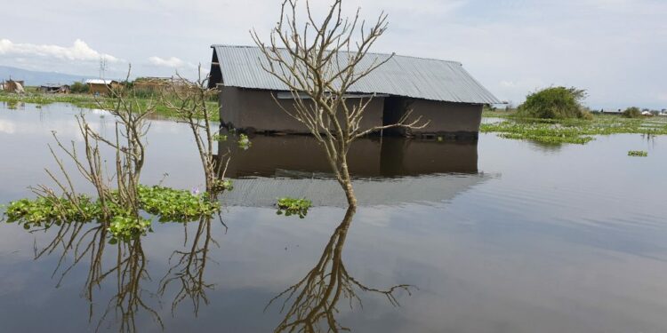 One of the houses that was submerged by Lake Albert waters in Ntoroko