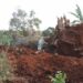 UNRA destroys Nabukalu, a spiritual tree, belonging to Lugave clan